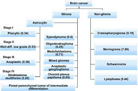Metastatic brain tumors (also called secondary brain tumors) are caused by cancer cells spreading (metastasizing) to the brain from a different part of the body.; Classification Of Brain Tumors As Reported From The Central Brain Tumor Download Scientific Diagram