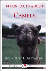How much water should adults drink in a day? 14 Fun Facts About Camels A 15 Minute Book 15 Minute Books 2 Ebook Alexander Caitlind Amazon Co Uk Kindle Store