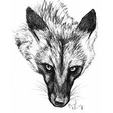 Painting Of The Adorable Fox Noki See More Of Him Here Livingwithfoxesblog Tumblr Com I Did This Surprisingl Fox Drawing Sketches Fox Painting Skulls Drawing