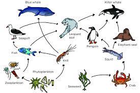 Check spelling or type a new query. Humor Study Humans Are Not Apex Predators But Actually Parasites The Aggie