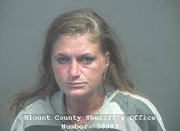 Blount arrest records available online