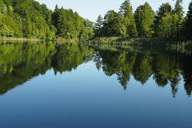 Commerce funeral home and cremation service, commerce, texas. Commerce Funeral Home And Cremation Service Commerce Tx Funeral Home And Cremation