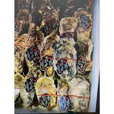 漁河岸】活日本北海道厚岸町丸衛門生蠔| 蝦皮購物