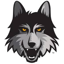 The resolution of png image is 1235x266 and classified to chicago bears logo ,chicago skyline silhouette ,chicago cubs logo. Women S Hoop Dirt Women S Basketball Video Coordinator Loyola University Chicago Women S Hoop Dirt