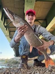 Master Angler Entries