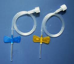 Kết quả hình ảnh cho bướm