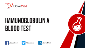 The amount of iga produced in association with mucosal membranes is greater than all other types of antibody combined. Immunoglobulin A Iga Blood Test