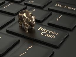 Bitcoin cash is an offshoot of bitcoin, and one of the principal reasons why it was created is to deal with disagreements in the bitcoin community over how the technology of the currency should run, especially with increased demand. Did Bitcoin Cash Fail 500 Days Since The Fork It Looks Like It Did