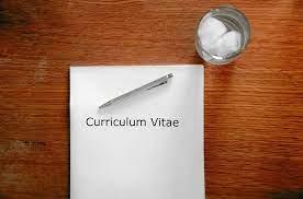 Baixar um extracto de curriculo vitei. 12 Modelos De Curriculum Vitae Para Baixar Pdf E Doc Online Cursos Gratuitos