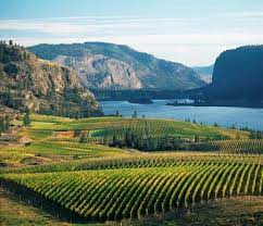 The capital of british columbia is victoria, which is situated on vancouver island. Okanagan Bc Google Images Places To Visit Cool Places To Visit British Columbia