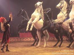 Circus Liberty Horse Act