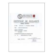 Traduire Une Attestation Ou Un Certificat De Scolarite