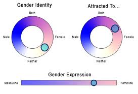 Bluebeads Tumblr I Found This Cool Little Gender Identity
