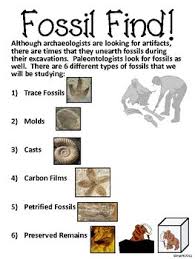 Dinosaur Fossil Find Explore And Create 6 Types Of Fossil Formation Fossils Activities Fossils Lesson Middle School Science Experiments