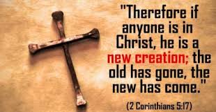 Acts 29 Review: Jesus Christ the New Creation