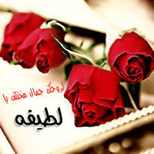 معني اسم لطيفه فهرس