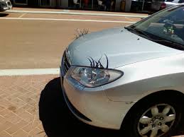 What drives someone to go all out decorating their car? Personifying Moving Objects By Decorating With Gendered Features Cute Cars With Curled Eyelashes And Boy Bits Dangling At The Back Of Utes Am I A Super Recognizer