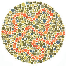 We did not find results for: Ishihara S Test For Colour Deficiency 38 Plates Edition Colblindor