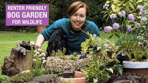 How To Make A Bog Garden In An Old Tyre Nature Break Youtube