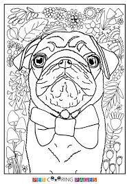 Pug coloring pages for adults. Pug Coloring Page Dog Coloring Book Coloring Pages Animal Coloring
