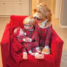 Eine Lachelnde Freundschaftsgeschichte Zwischen Einem Hund In Familienbesitz Und Einem Adoptierten Kind Sussetiere Kinder Tiere Hunde Und Kinder Susse Tiere