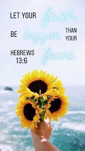 Sunflowers (helianthus spp.) bloom duing summer and autumn, luring butterflies. Pin On Sayings Quotes