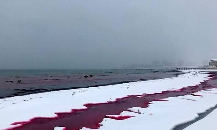Bewildering footage of blood-red Caspian Sea strip, KNEWS