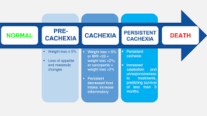 Image result for Cachexia in Cancer
