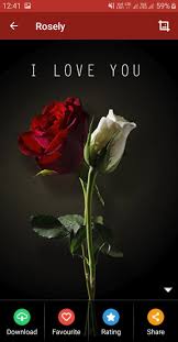 And if you want to express your soft feelings in this post, we have collected some beautiful pink roses images, pink roses photos, pink roses wallpapers for you. Rose Wallpaper Rose Pics Rosely For Android Apk Download