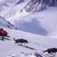 Mushing Dogs to the Top of Denali: The 1979 Expedition with Joe Redington Sr., Susan Butcher & Ray G