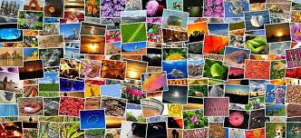 Pixabay ist eine kreative community, die bilder und videos frei von urheberrechten mit anderen teilt. Kostenlose Bilder Fur Gewerbliche Nutzung