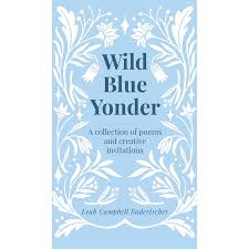 Wild Blue Yonder, (Hardcover) - Walmart.com