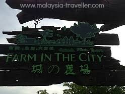 Here's a few things you should know about urban farming before reaching for the shovel. Farm In The City Taman Equine Seri Kembangan
