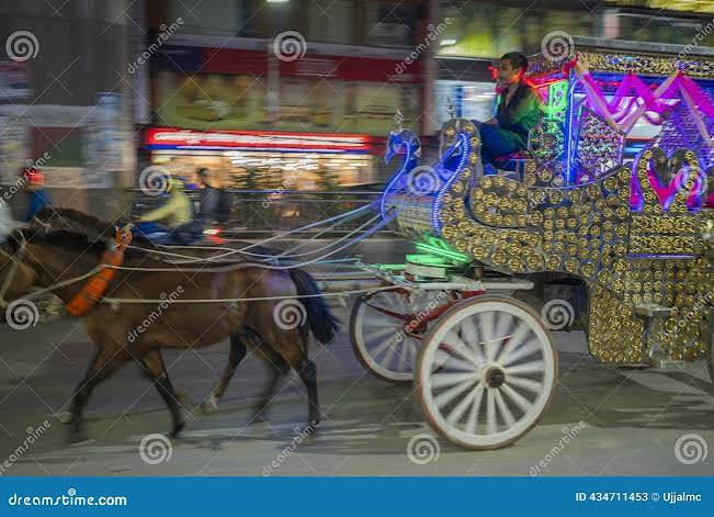 Tomtom Horse Stock Photos - Free & Royalty-Free Stock Photos from Dreamstime
