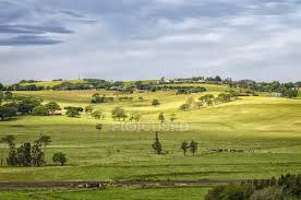 Scenic View Of Rural Landscape New South Wales Australia Background Horizon Over Land Stock Photo 238094620