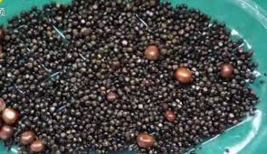 Secara umumnya, batu karang merujuk kepada batu yang terbentuk di dalam saluran kencing, iaitu dari buah pinggang hingga ke pundi kencing. Tak Pernah Sarapan Pagi Derita 2 000 Batu Karang Dalam Hempedu
