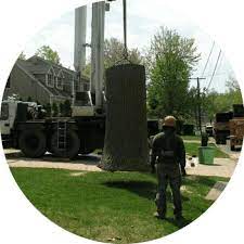 Read through customer reviews, check out their past projects and then request a quote from the best tree services near you. Tree Services Red Bank Removal Trimming Pruning Fertilizer 07701 Frontier Tree