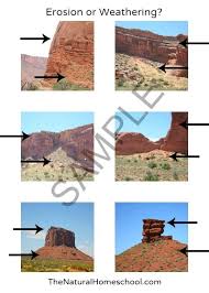 LaTora King (latoraking)