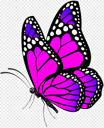 We did not find results for: Black And Purple Butterfly Illustration Monarch Butterfly Butterfly Pink Purple Blue Brush Footed Butterfly Png Pngwing