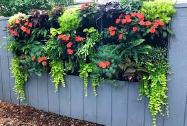 Home urban gardening best plants for vertical garden | vertical garden plants. Amazon Com Delectable Garden Cloth 12 Pocket Hanging Vertical Garden Wall Planter For Yard Garden Home Decoration Garden Outdoor