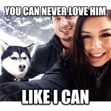 Jealous Husky Know Your Meme 1) let the girlfriend memes begin! jealous husky know your meme