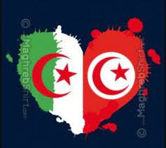 Le drapeau tunisien est un drapeau de proportion 2:3, totalement rouge, excepté en son milieu, ou il y a un disque blanc avec un croissant rouge qui entoure une étoile à cinq branches, également rouge. 14 Idees De Fille Tunisienne Fille Tunisienne Tunisienne Tunisie Drapeau