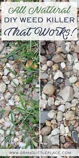 Deborah Clabaugh (deborahclabaugh)