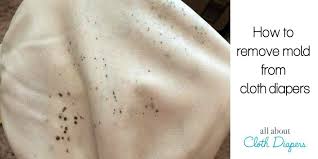 How To Remove Mold From Cloth Diapers In A Few Simple Steps Mold Remover Cloth Diapers Mold On Clothes