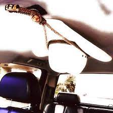 Bull Riders Edition Cowboy Hat Rack Cowboy Hat Rack Cowboy Hats Cowboy