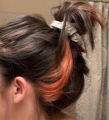 Color Streak In Hair Hair Streaks Hair Color Streaks Underlights Hair