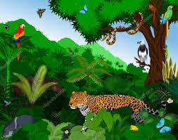 Just some of the amazing animals that live in the rainforest. Rainforest With Animals Vector Illustration Vector Green Tropical Forest Jungle With Parrots Jaguar Tapir Peccary Harpy Monkey Motmot Anaconda And Butterflies Premium Vector In Adobe Illustrator Ai Ai Format