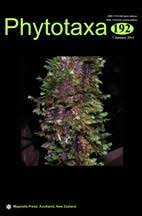 Image result for Gymnosporia maranguensis