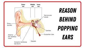 Other symptoms of this condition may include: How To Pop Your Ears During Flight Or Illness