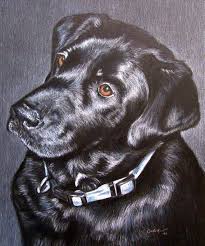 Custom Dog Portrait 8 X 10 Colored Pencil Art By Carla Kurt Etsy Custom Dog Portraits Dog Portraits Custom Pet Portraits